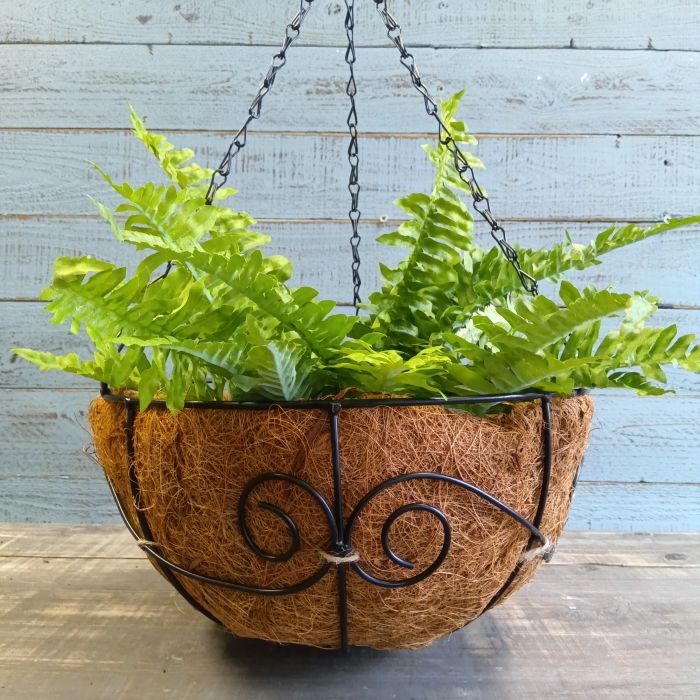 楽天市場】ガーデニング雑貨 ハンギングバスケット アイアンバスケット