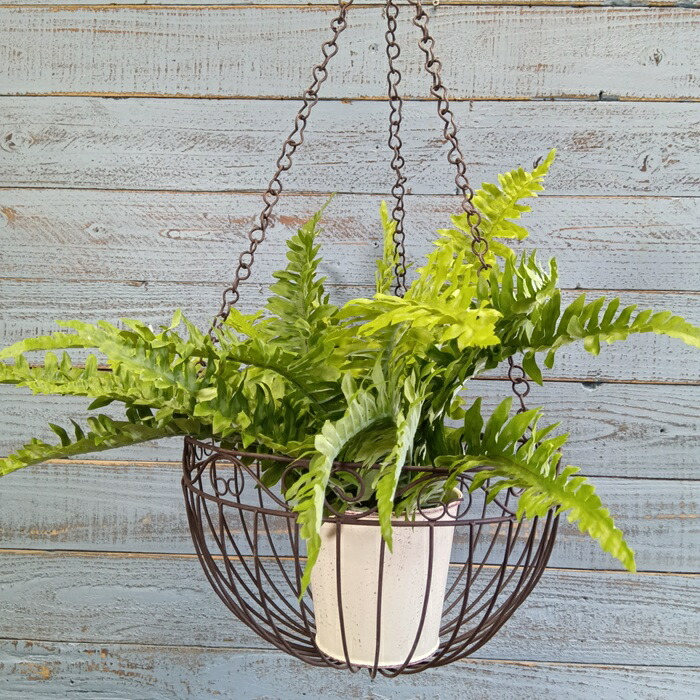 楽天市場】ガーデニング雑貨 ハンギングバスケット アイアンバスケット