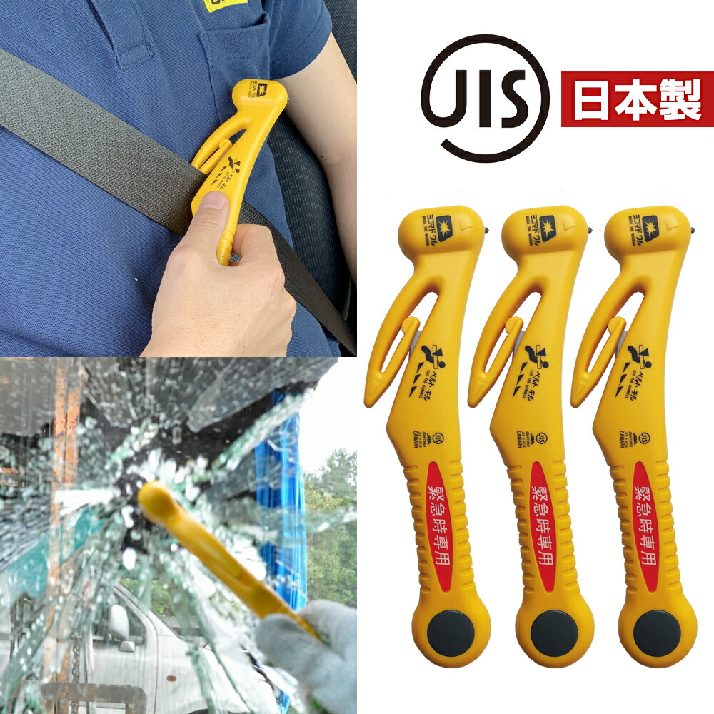 ?執り行なう中の社会的運動?