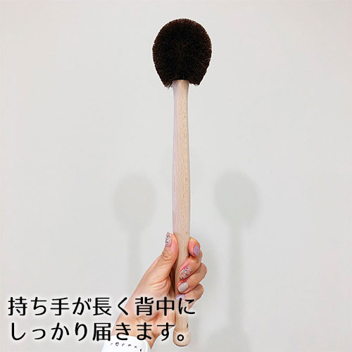 たわし 孫の手たわし おしゃれ 孫の手 タワシ 束子 ロハスフェスタ万博