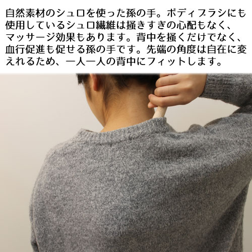 たわし 孫の手たわし おしゃれ 孫の手 タワシ 束子 ロハスフェスタ万博