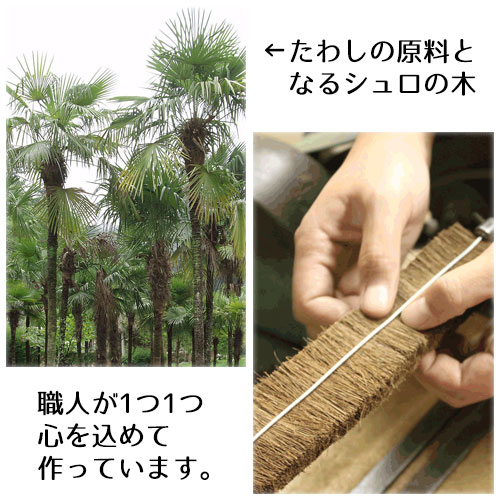 たわし 孫の手たわし おしゃれ 孫の手 タワシ 束子 ロハスフェスタ万博