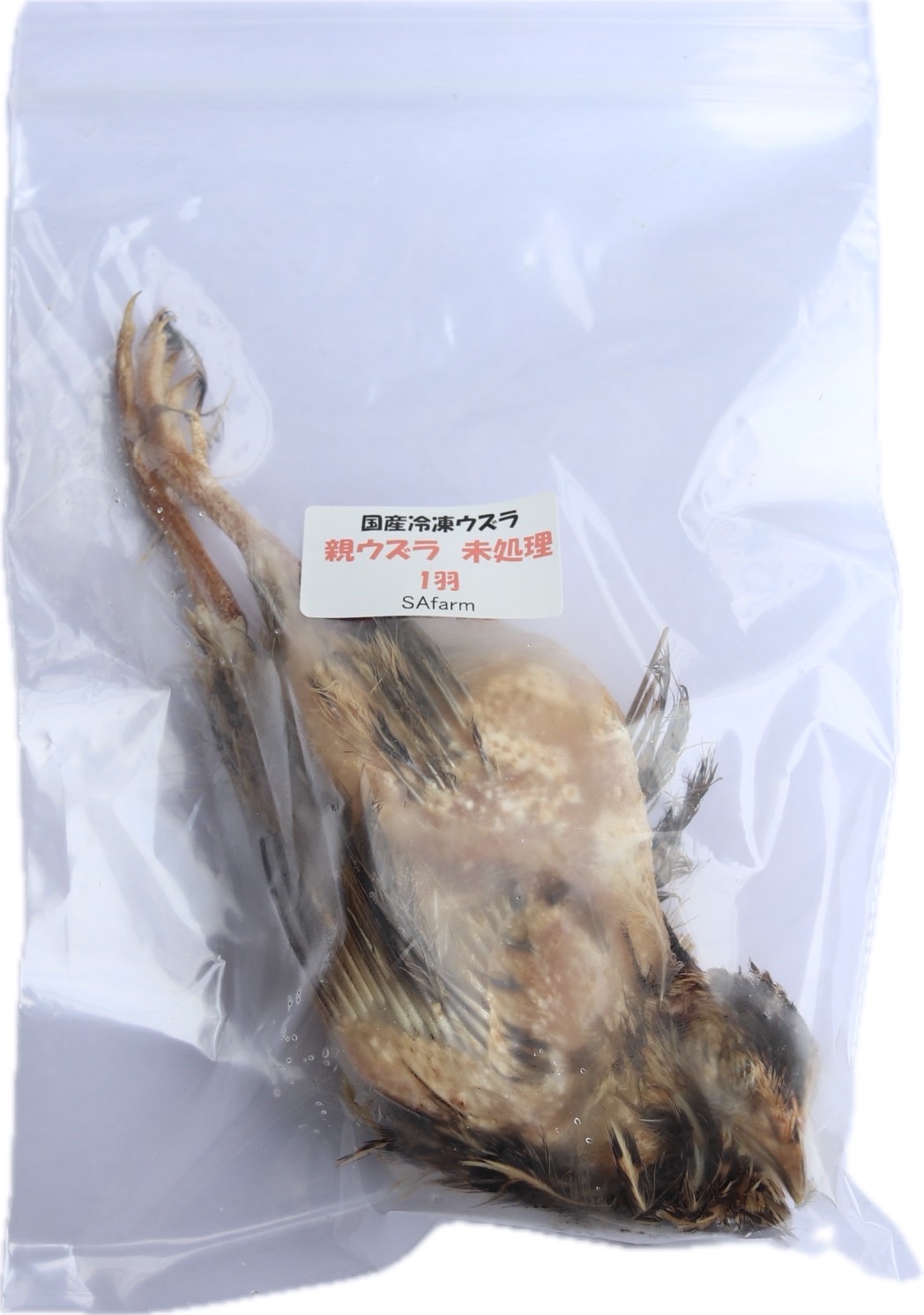 楽天市場】【冷凍】冷凍ウズラ アダルト 10羽（T2）【クール便発送