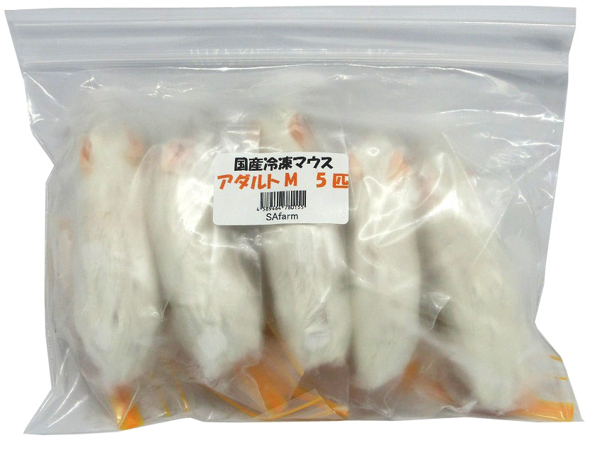 楽天市場】国産冷凍ラット ホッパー 2匹 RH SAfarm : SAfarm