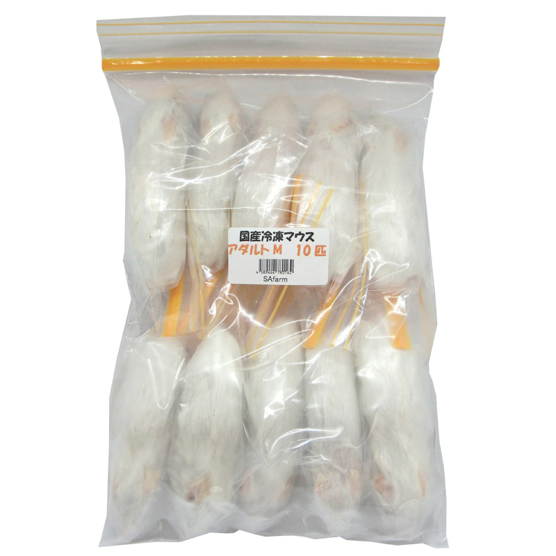楽天市場】国産冷凍マウス ピンクL 20匹 SAfarm : SAfarm 楽天市場店