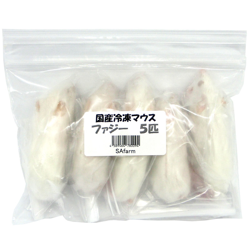 在庫処分！自家繁殖冷凍マウス Mサイズ 22g～29g 36匹セット