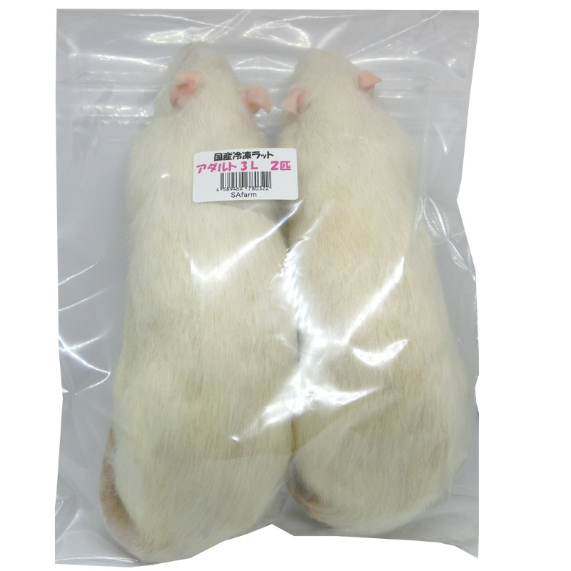 【オンラインショップ】 RH 2匹 ホッパー 楽天市場】国産冷凍ラット SAfarm SAfarm : 爬虫類・両生類のエサ