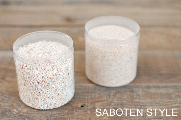 楽天市場 便利な固まるサンゴ砂 ｓ ｍサイズ サボテン 多肉植物 Sabotenstyle