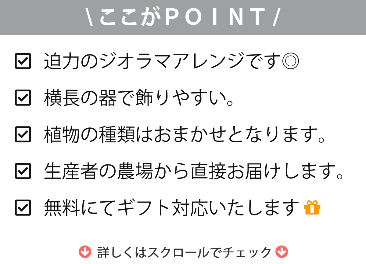 楽天市場 サボテン 多肉植物 サボテンジオラマ Plastic Pot レクトｌ サボテン ジオラマ ミニサボテン 観葉植物 インテリア オシャレ かわいい プレゼント ギフト 雑貨 母の日 父の日 バレンタイン ホワイトデー 新生活 サボテン 多肉植物 Sabotenstyle