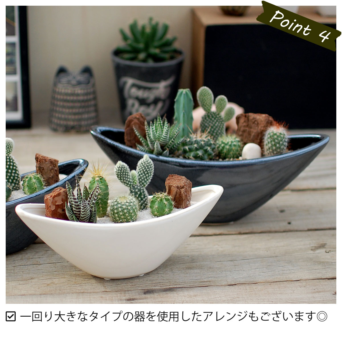 カクタス 多肉植物 5品種 寄せ植え ウェーブポット サボテン 多肉植物 ミニサボテン 観葉植物 調度品 オシャレ 可愛い つけ届け 贈物 雑貨 マザーの日 父の日 バレンタイン 白人種デー クリスマス 後藤サボテン Goto Saboten Foxunivers Com