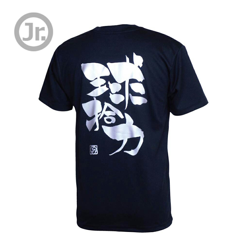 バレーボール 練習着 ジュニア 半袖 Tシャツ 球拾力 ノースアイランド Northisland おしゃれ