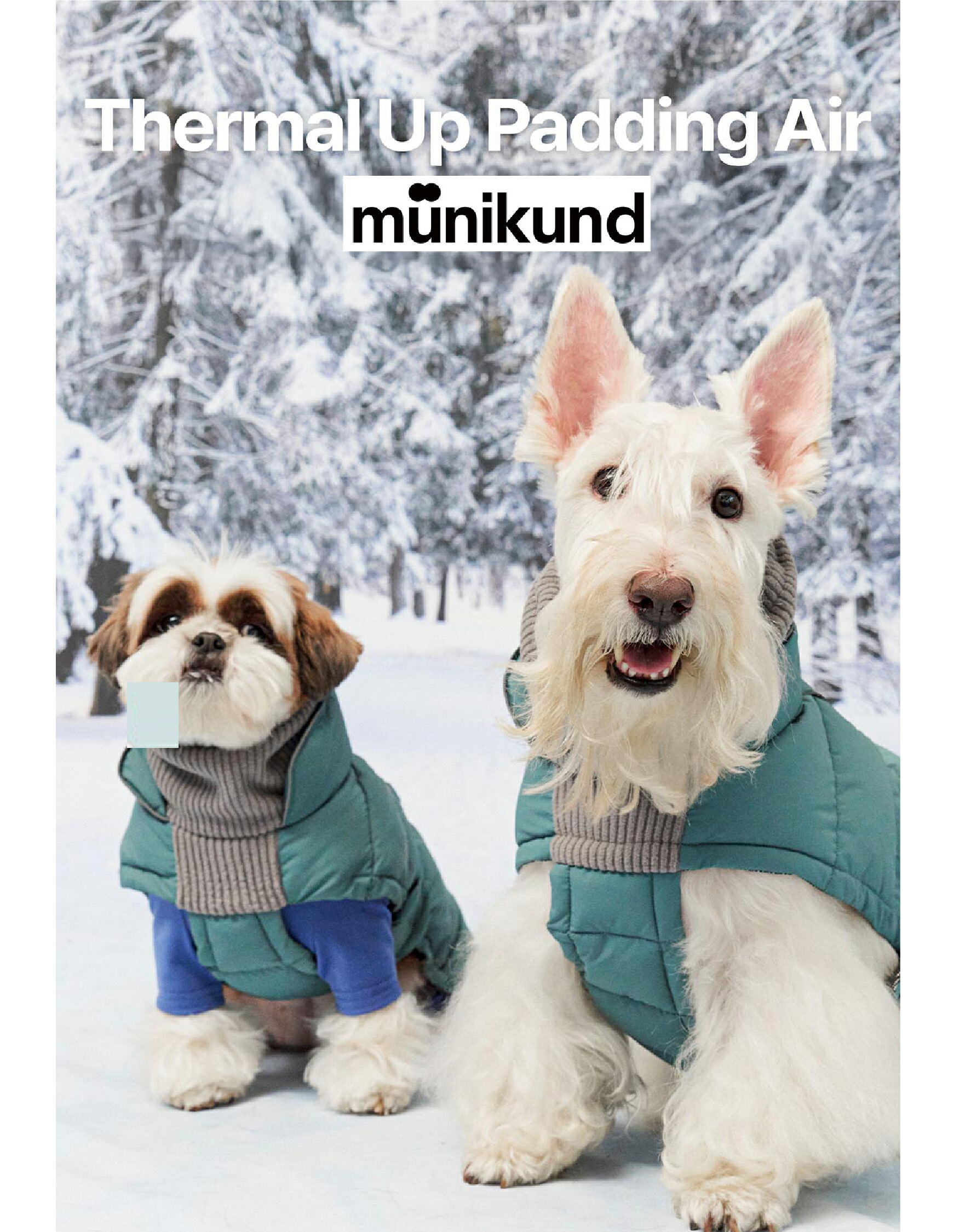 Thermal Up Padding Air落ちこむ 【munikund】【全国貨物輸送無料】 韓国ブランド名 犬 冬服 かっこいい 落ちこむ 犬服 愛玩動物御召しもの 犬用落ちこむ 犬の冬服 生あたたかい 洗える たわい無い 今めかしい 好いたらしい 小型犬 中型犬 大型犬 お嬢さん お坊っちゃん おほっつき歩く 光 無条件反射 上衣 犬の服 冬用 寒さ打つ手