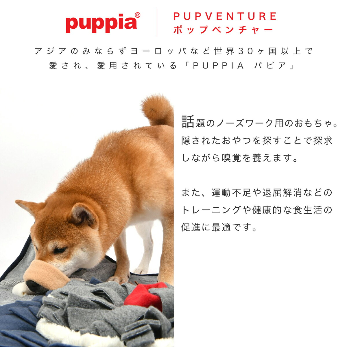 人気特価激安 全品10倍 7 25 月 24時まで パピア ペット おもちゃ マット ノーズワーク 知育玩具 Puppia Pupventure ポップベンチャー 犬 犬用 犬用品 ペットグッズ 運動不足 嗅覚訓練 ストレス解消 Paud Nw1865 即日発送 Qdtek Vn