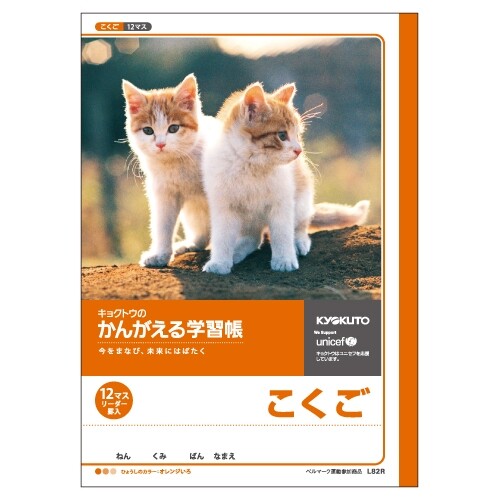 楽天市場】キョクトウ かんがえる学習帳 さんすう 14マス リーダー罫入