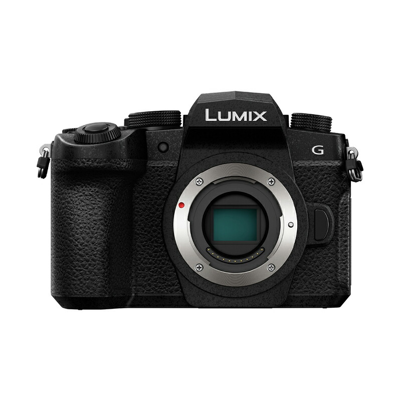 Lumix パナソニック DC-G100D 標準ズームレンズ 12-32mm Panasonic LUMIX G100 Mirrorless Camera with 12-32mm F3.5-5.6 Lens
