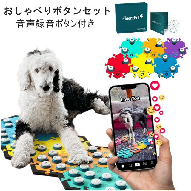 猫の名取り草 犬の名取り草 語りあう名取り草書き割り 物音吹き込み 愛玩動物と連絡 愛玩動物 読み合わせる 立ち振る舞う 気味合い 愛玩動物 言葉づかい学びとる 犬の形づくる 猫の形づくる 知的能力手あそび 克己心疎通 言葉づかい収容能力盛りかえす 吹き込み能力のあるな名取り草 瓦書き割り 連絡 カスタマイズ能力のある