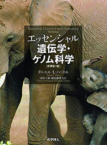 楽天市場】【中古】実解析入門: 測度・積分・ソボレフ空間