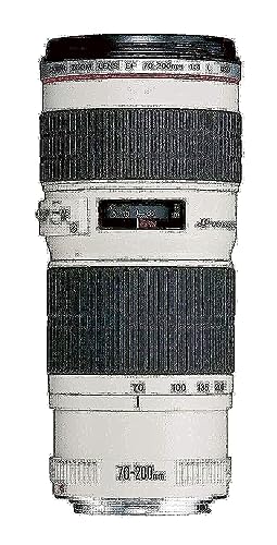 【中古】Canon 望遠ズームレンズ EF70-200mm F4.0L USM フルサイズ対応