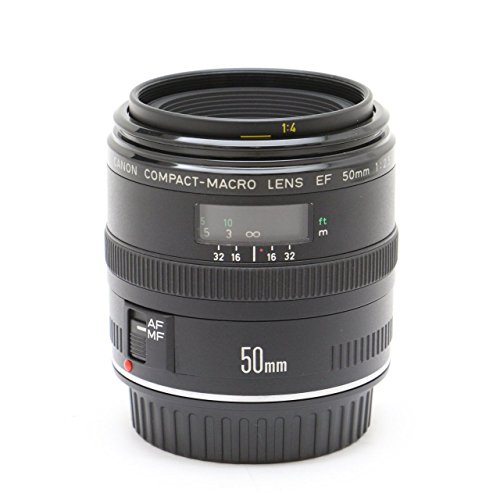 【中古】Canon 単焦点マクロレンズ EF50mm F2.5 コンパクトマクロ フルサイズ対応