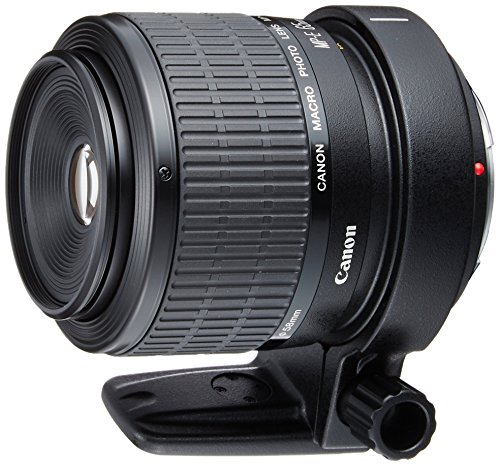 【中古】Canon 単興味の中心マクロ命令水晶体 MP-E65粍 F2.8 1-5Xマクロ命令写真絵 フルサイズ相応う