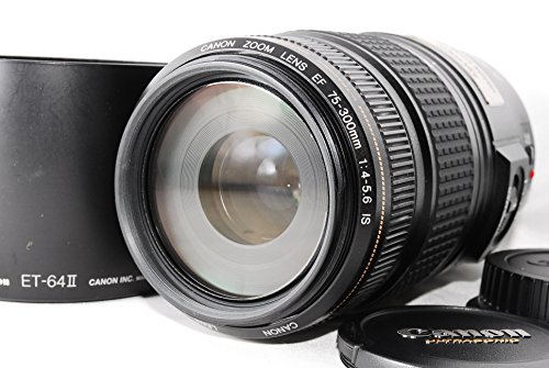 【中古】Canon EF 75-300粍 F4-5.6 IS USM