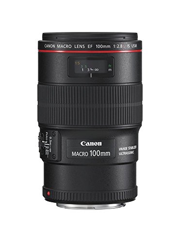 【中古】Canon EF水晶体 EF100粍 F2.8L マクロ命令 IS USM マクロ命令水晶体