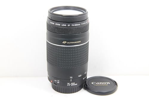 【中古】Canon AFレンズ EF 75-300mm F4-5.6 III USM