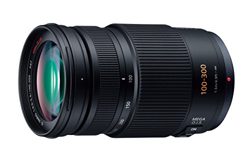 【中古】パナソニック 望遠望遠レンズ マイクロフォーサーズ用 ルミックス G VARIO 100-300粍/F4.0-5.6 /MEGA O.I.S. H-FS100300