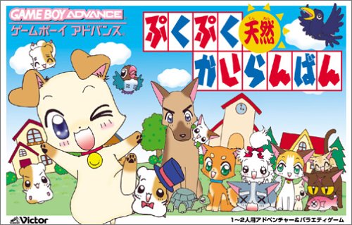 【中古】ぷくぷく天然かいらんばん｜セーフライフ倉庫