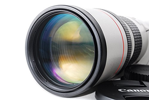 【中古】Canon 加農砲 EF 300粍 F4L USM 御前上等単興味の中心水晶体 写真機