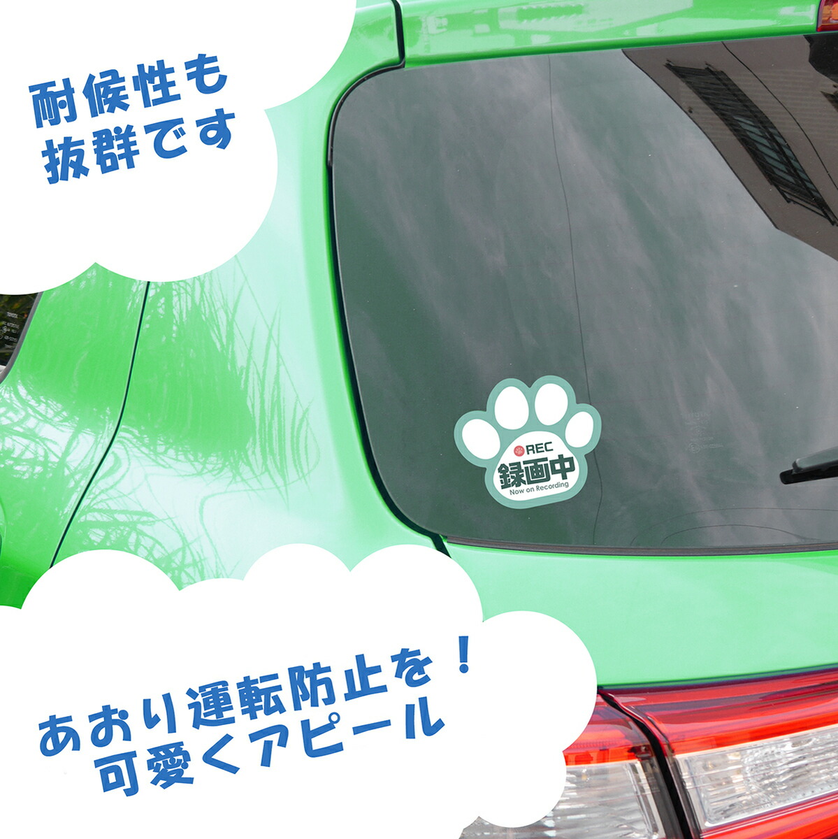 楽天市場 Safety Mania 録画中 肉球 車用ステッカー ブルー 9cm 8cm ドライブレコーダー搭載車両 あおり運転防止に 犬 猫 好きな方へ Safety Mania ステッカーショップ