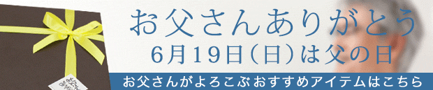 逸品】 ゴムスクイジー 窓掃除 エトレ 大掃除 高耐久水切りゴムワイパー スキージー ETTORE ゴムワイパー