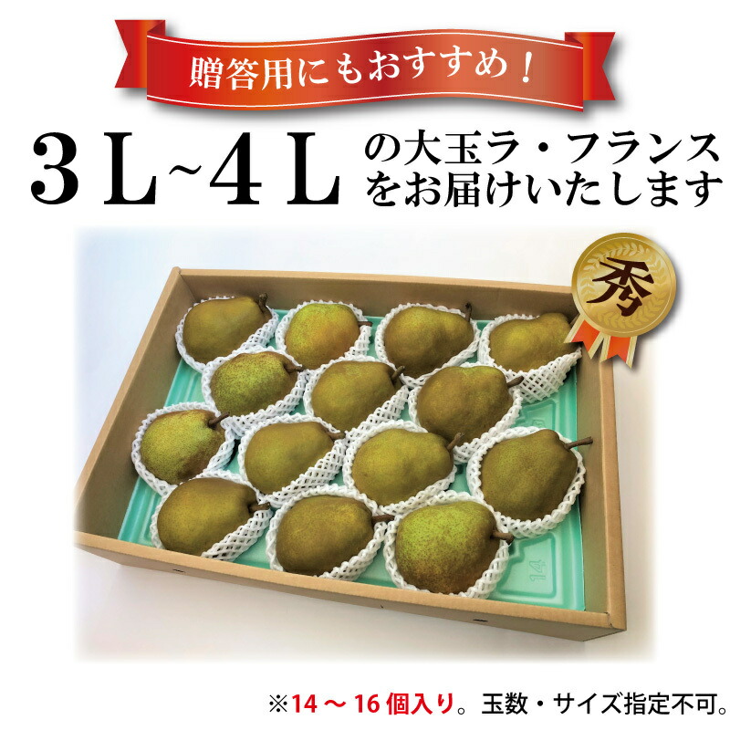 配送員設置送料無料 300円OFFクーポン ラ フランス 山形 5kg 秀品 3L 4L 14玉〜16玉 化粧箱入 洋梨 洋ナシ 西洋梨 お取り寄せ  特産 産地直送 果物 フルーツ ラフランス 2022年産 令和4年産 山形県 寒河江 ご家庭用 贈り物 贈答用 プレゼント 御歳暮 冬ギフト 送料無料  ...