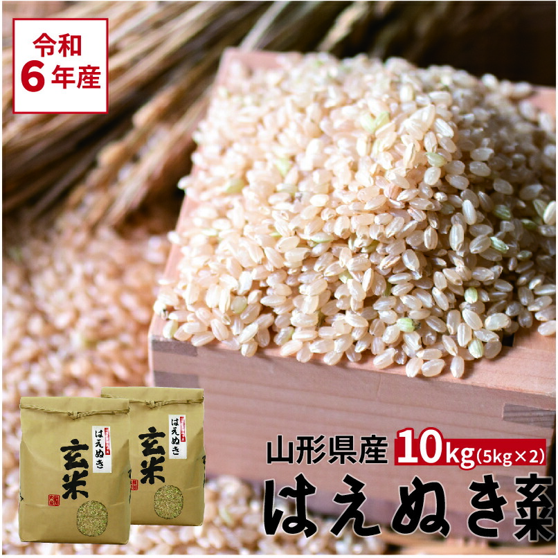 先行予約 令和6年産 新米 米 はえぬき 10kg 送料無料 玄米 5kg×2袋 山形県産 お米 こめ 山形直送 寒河江 直送 2024年産 山形県 寒河江市 人気