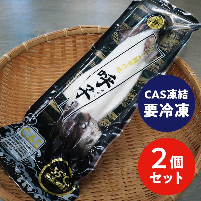 楽天市場 呼子松いか姿造り 約180g 2p 新鮮な松いか するめいか の姿造り そのままお刺身のほか 天ぷらにしてもおすすめ 佐賀玄海漁業協同組合