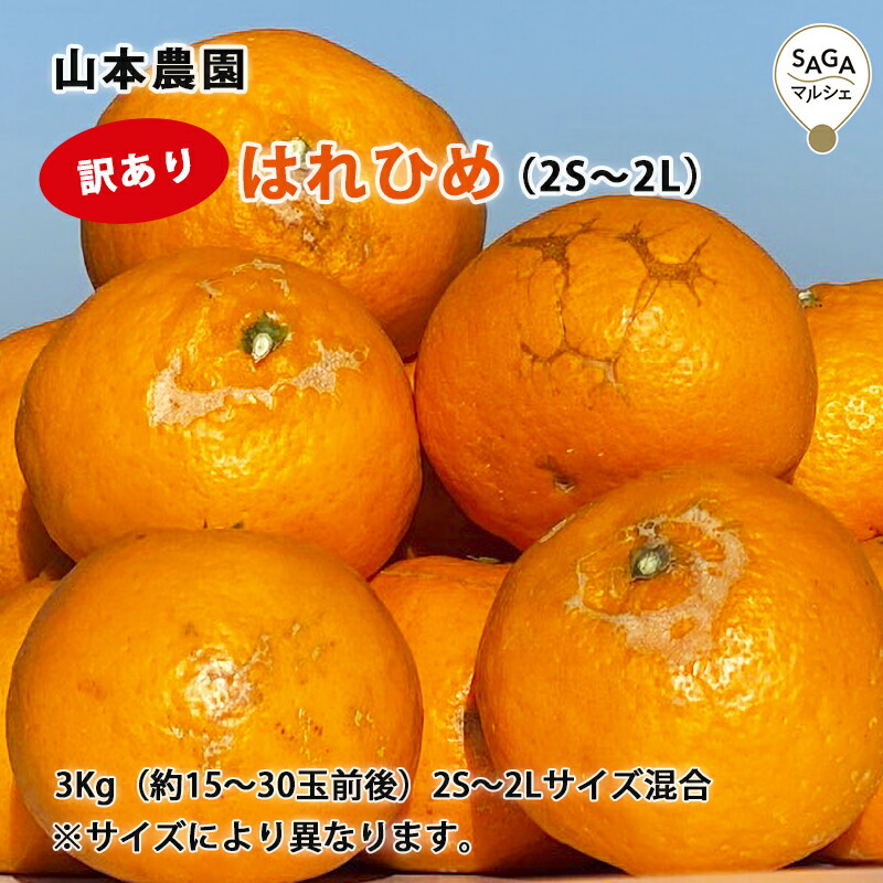 楽天市場】早熟みかん 3kg(S~2L混合） 極早生 太良・山本農園 太良