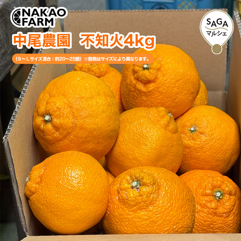 中尾農園 不知火4kg