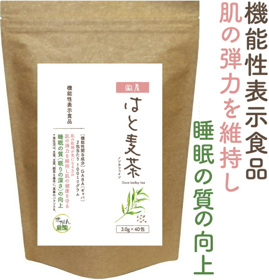 楽天市場】機能性表示食品 ごぼう茶 2.5g×30包+20包増量中 水出し