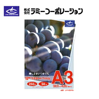 小ざかしい A3色合い練り合わせる機BP-22C20×Google運転戮力二人三脚 ラミネーターフィルム-パソコン・周辺機器