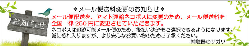 【午前中注文即日出荷！】メール便送料無料！補聴器用電池 レイオバック 水銀ゼロ p13（PR48）１０枚セット オレンジ 補聴器 電池  サガワ有限会社 