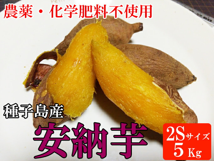 楽天市場】珍しいやまいも！【農薬・化学肥料不使用】こだわり栽培 紫