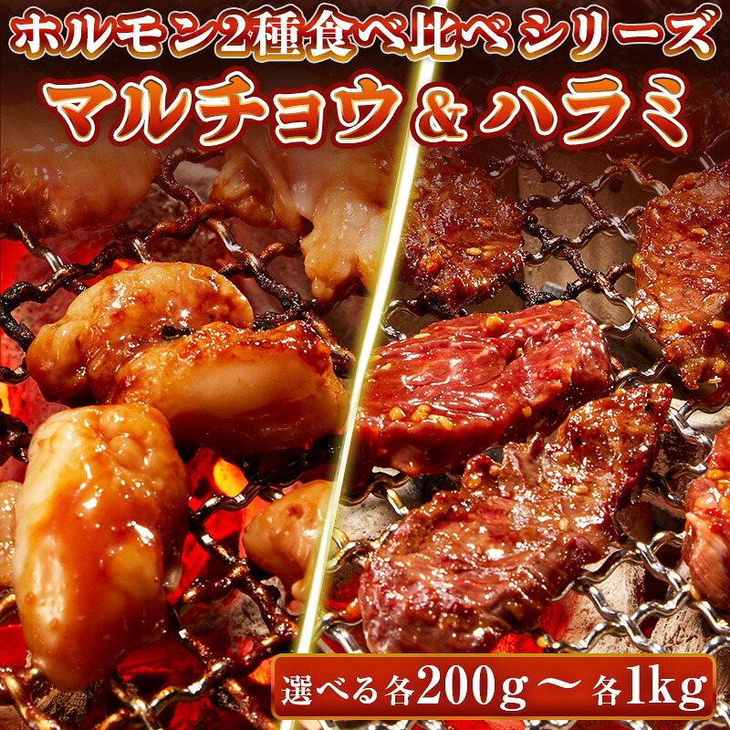 牛肉 ホルモン 特製味噌ダレ マルチョウ 特製たれ ハラミ 【選べる各200g-各1kg】 食べ比べセット もつ 丸腸 小腸 コプチャン サガリ 焼肉 焼肉用 BBQ バーベキューお歳暮 ギフト プレゼント｜肉のミヤコ屋 7,490円