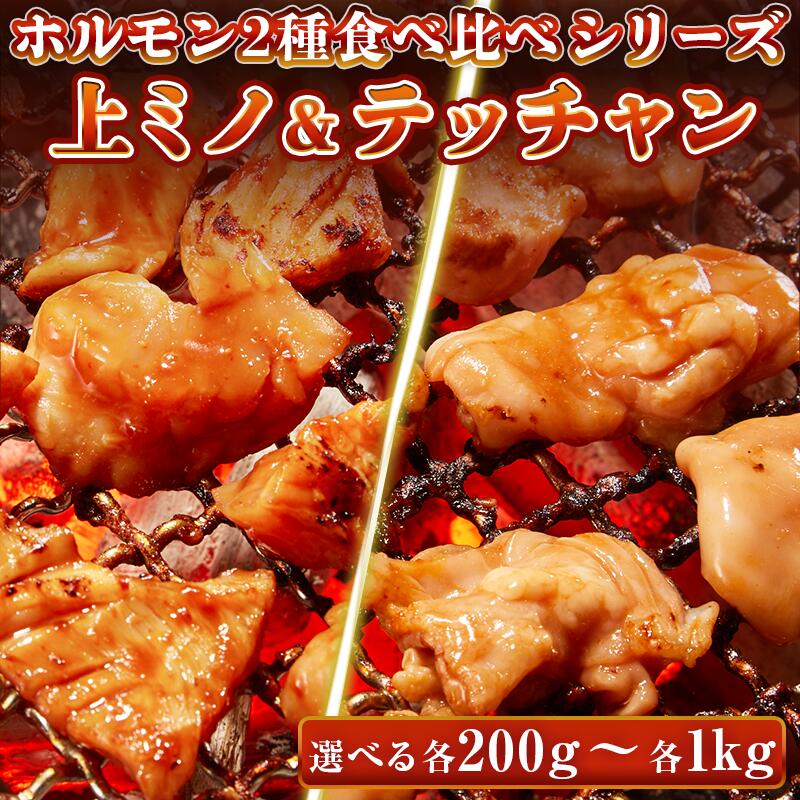 牛肉 ホルモン 味付 特製味噌ダレ 上ミノ テッチャン 【選べる各200g-各1kg】 食べ比べセット ミノ シマチョウ 焼肉 焼肉用 BBQ バーベキュー お中元 ギフト プレゼント｜肉のミヤコ屋