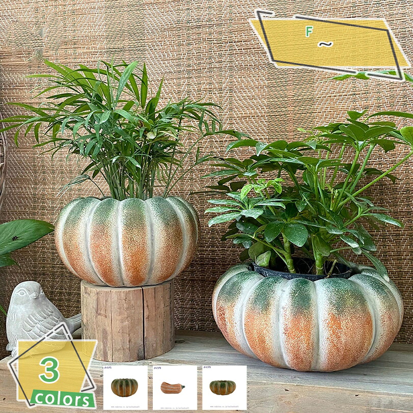 1000円OFFクーポン 小型植木鉢 屋内植木鉢 カボチャ型 セメント製 鉢 おしゃれなインテリア ガーデニングの装飾 観葉植物植木鉢 室内用プランター カボチャ型の植木鉢 運びやすい 癒し 可愛いプレゼント 浅型 プラントポット 園芸用品 庭園の装飾 RaogtCYU