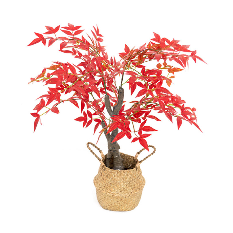 500円OFFクーポン 紅葉 もみじ 人工観葉植物 大型 人工観葉植物 フェイクグリーン 鉢植 インテリア おしゃれ お祝い 開店 開業祝い アレカヤシ お手入れ簡単 オシャレ 人工樹木 人工観葉植物 リアル フェイクグリーン 常緑樹 人工観葉植物 RaogtCYU