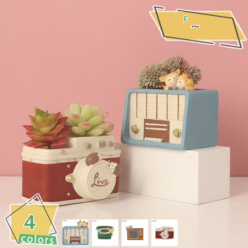 楽天市場】【SS限定｜最大6,000円OFFクーポン】スワン 白鳥 親子