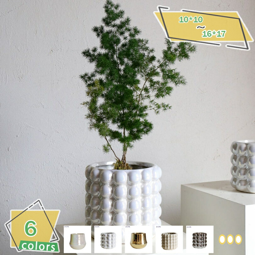 500円OFFクーポン 植木鉢 セラミック製 鉢植え 北欧 シンプル 排水孔付き 通気性 おしゃれ 室内 観葉植物 ハーブ 花栽培適用 ins風 クリエイティブ デスクトップ盆栽 ガーデニング用品 ヨーロッパ調 小物入れ 雑貨 卓上装飾 ガーデン 開店祝い 移転祝い RaogtCYU