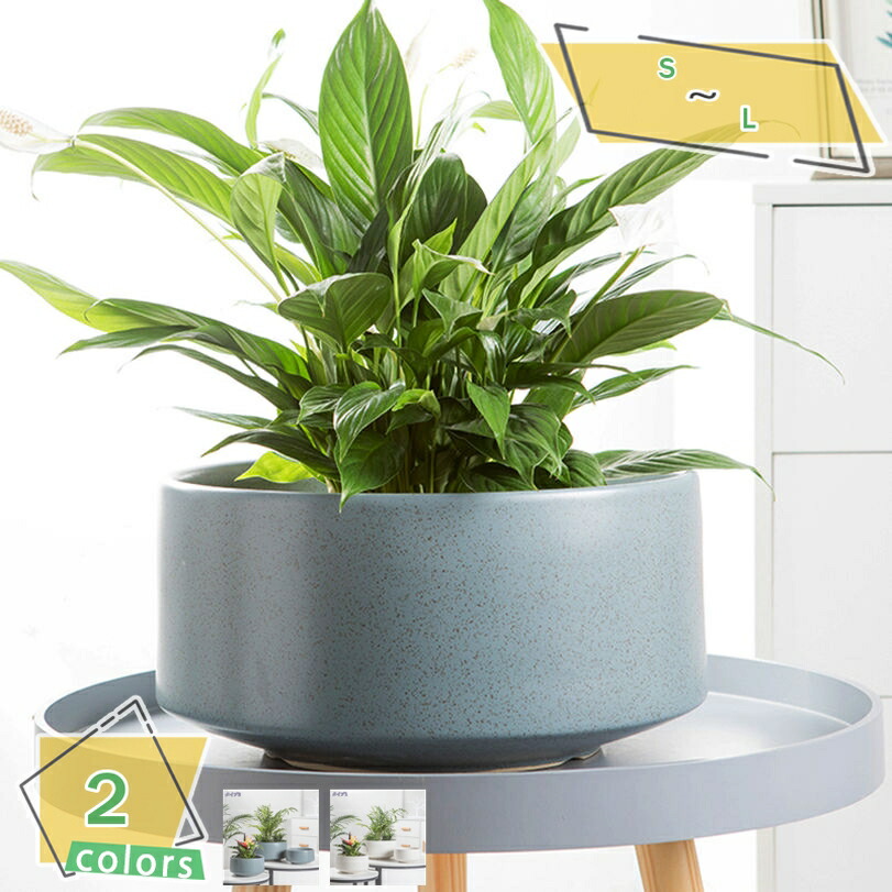 植木鉢 軽い 陶器鉢 大型 中型 小型 穴付き おしゃれ鉢 ガーデニング用品 プランター 鉢植え インテリア 部屋 飾り 観葉植物 多肉植物 サボテン鉢 装飾プランター 水切れ良い 園芸用品 盆栽 家の装飾 デコレーション 丈夫で長持ち RaogtCYU