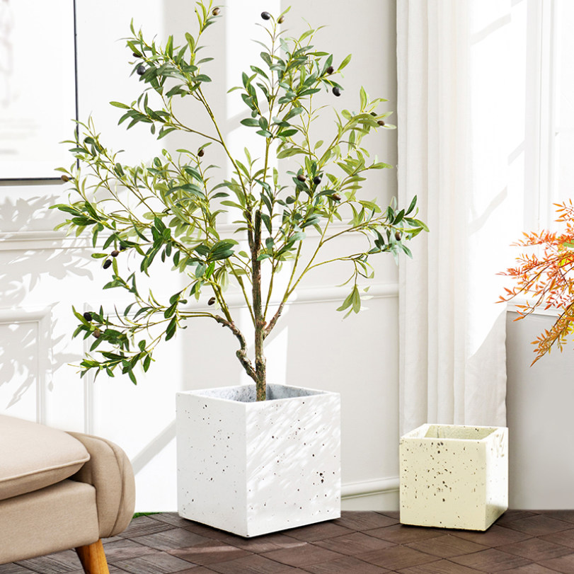 楽天市場】1000円OFFクーポン 室内用植木鉢 スクエア 四角 お洒落な