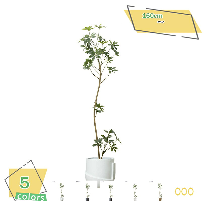 フェイクグリーン 人工観葉植物 大型 インテリアグリーン 観葉植物 屋内装飾 室内 リビング ベランダ オフィス用 プレゼント ギフト お祝い お誕生日 贈り物 開店祝い 開業祝い 新築祝い フェイクグリーン 人工観葉樹 RaogtCYU 28,560円